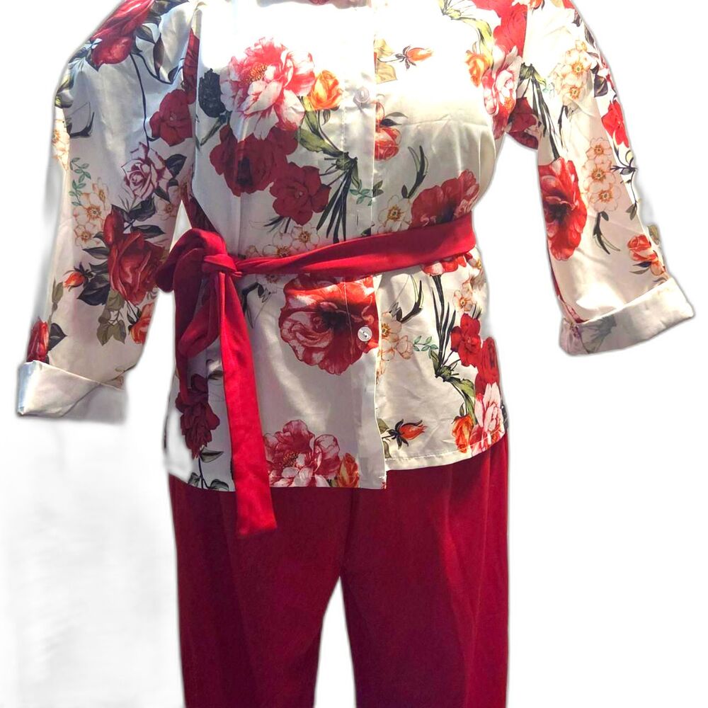 2 piece outfit. Blouse, paints, and belt/tie